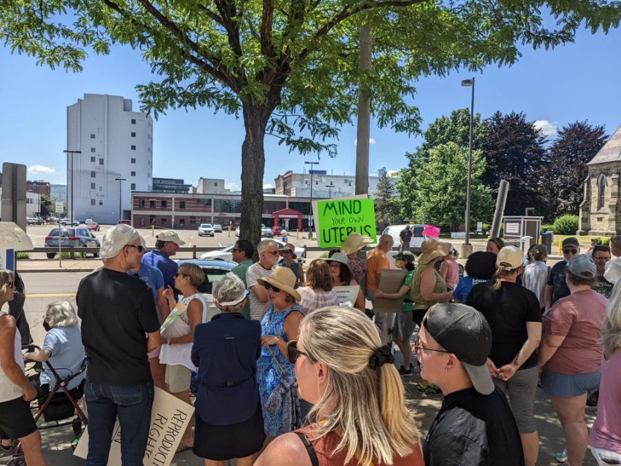 Indivisible Binghamton chapter members in action, 2022